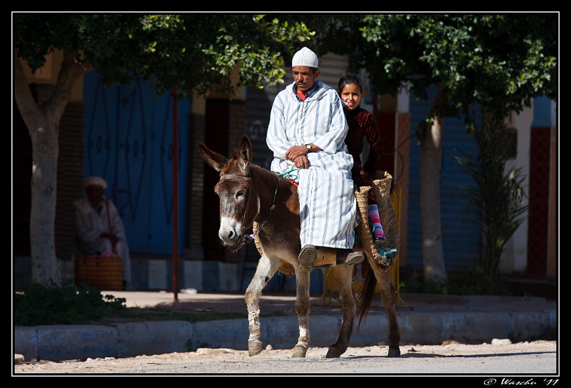 Donkey Taxi.jpg